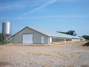 Large modern poultry house with grain silo on a farm