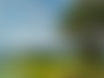 Easily Access Premium Breakdowns