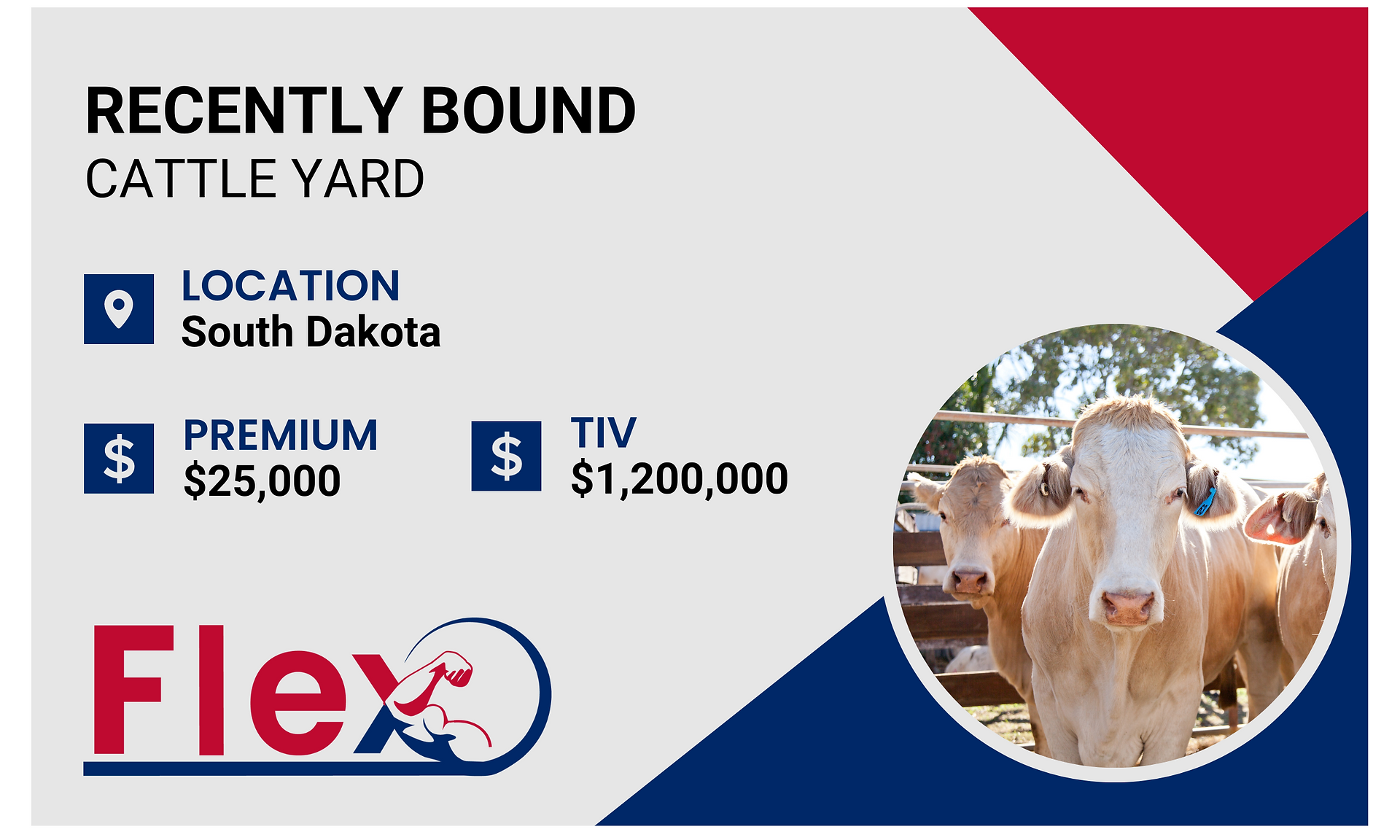 Recently Bound Cattle Yard in South Dakota with Flex Insurance