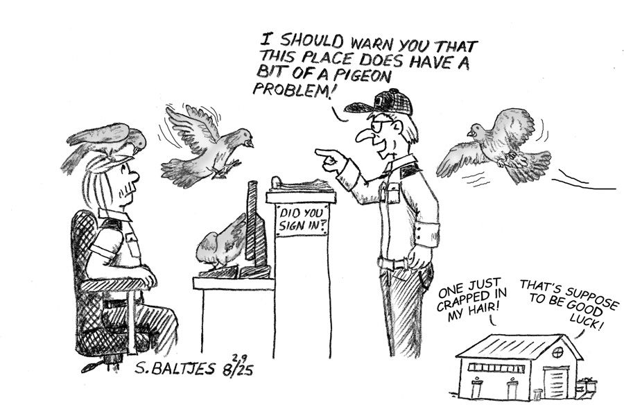 0829_SEC-Pigeons(sm)