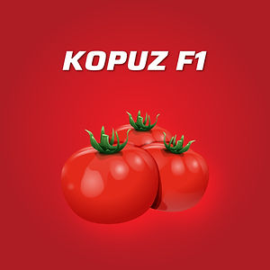 KOPUZ F1