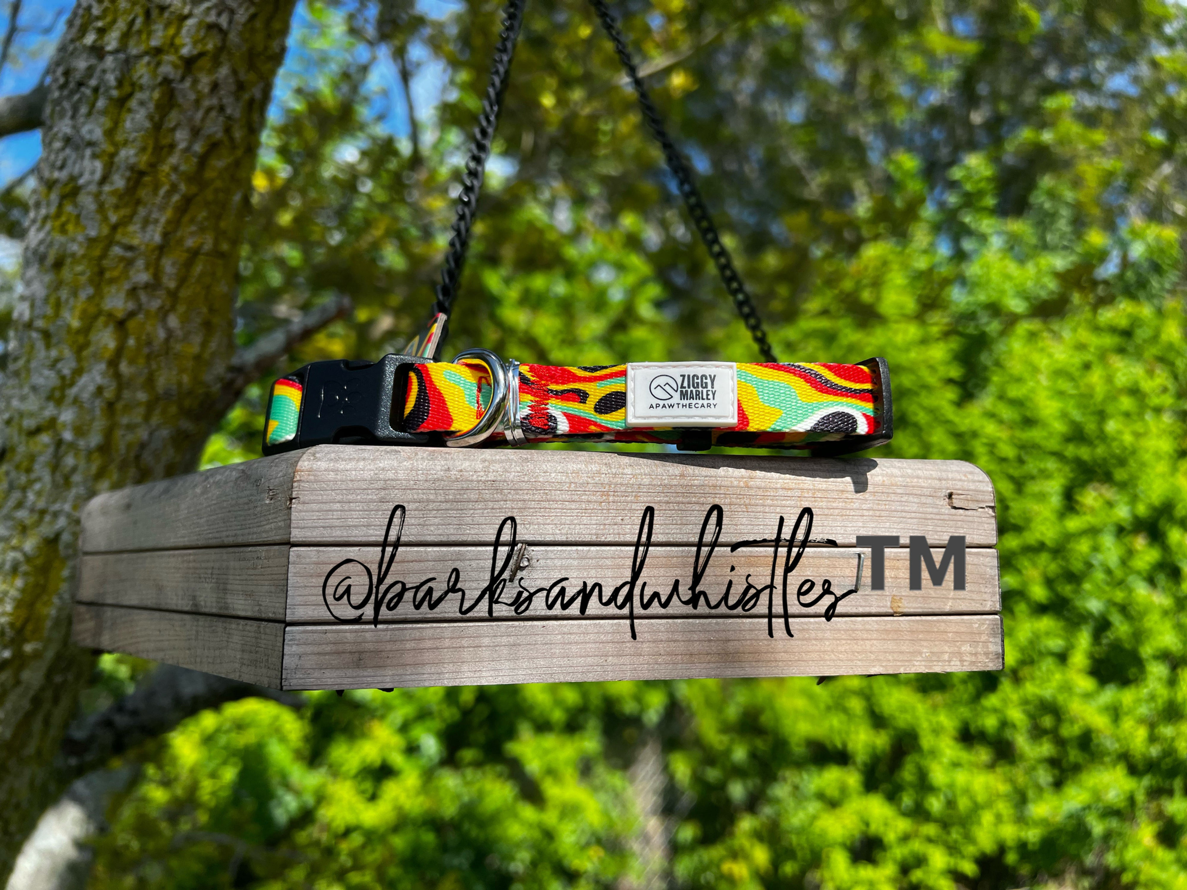 Ziggy Marley Apawthecary Dog Collar (X-Small) - (7"- 11"L x 1/2 " W)