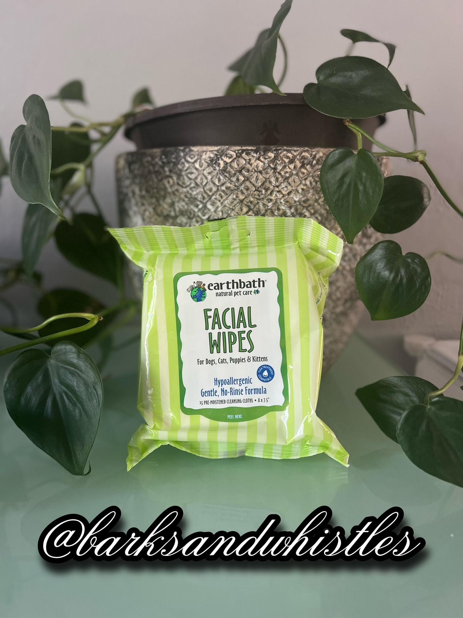 earthbath® Hypoallergenic Facial Wipes for Dogs, Cats, Puppies and Kitties