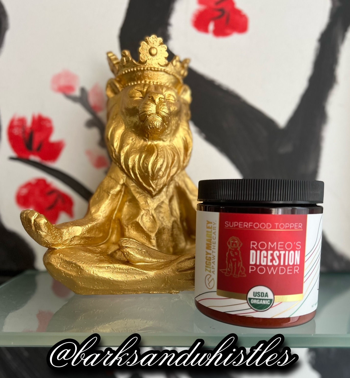 Romeos' Digestion Powder (For Cats and Dogs) by Ziggy Marley Apawthecary