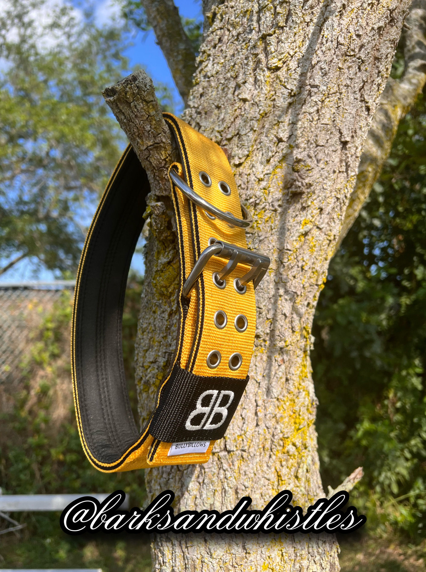 Bully Billows 5CM SPORTING DOG COLLAR - NO HANDLE - MUSTARD YELLOW- La