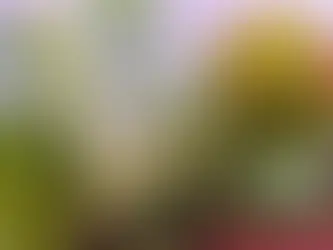 Ürünlerin Raf Ömrünü Uzatacak Yeni Bir Teknoloji