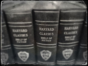 Gürültüden Edebiyata Bir Dönüş