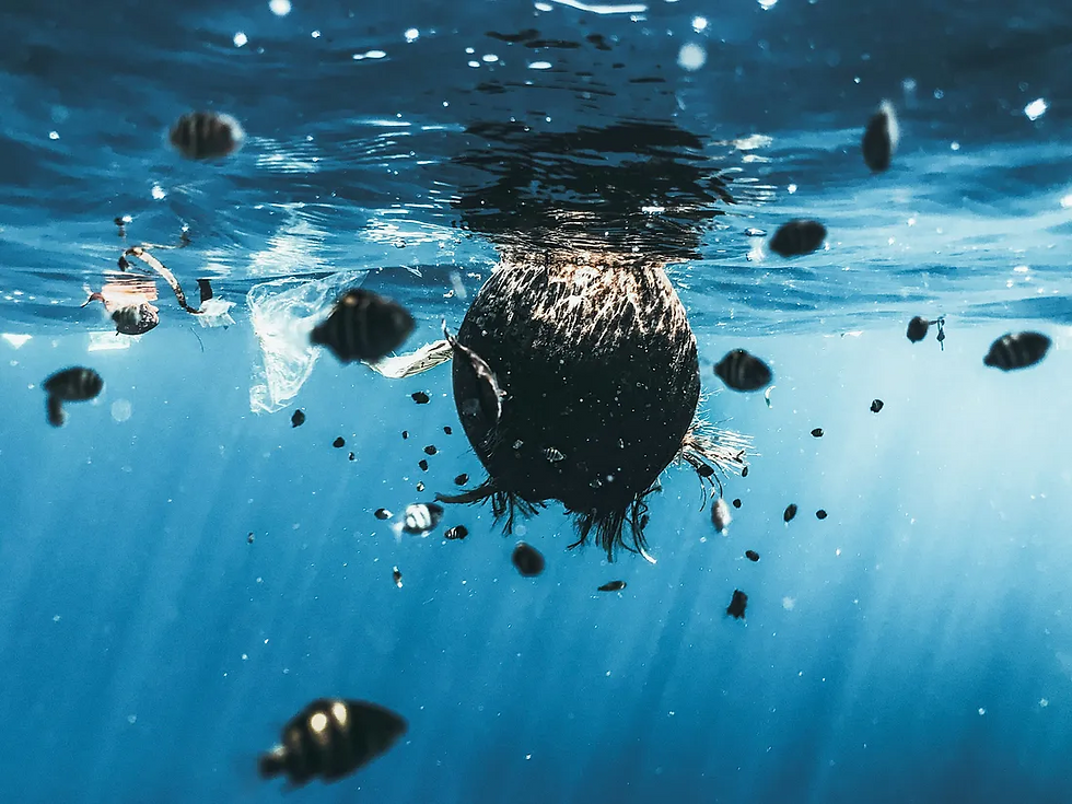 Ocean Pollution