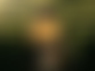 Doğruya Rağmen Alternatif Arayışının Sebepleri