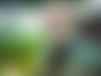 Salman Rushdie'nin Hayatı Eserleri ve Şeytani Tarafı