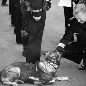 Hayatın yaraları ayrımcılık yapmaz...