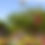 Thumbnail: Gruene River