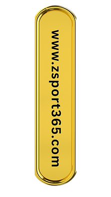 Black Illustrated Lion Hotel Logo (Your Story) (7).png