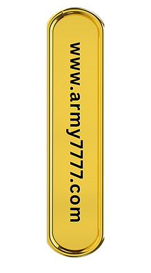 Black Illustrated Lion Hotel Logo (Your Story) (5).png