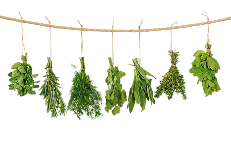 herbal products, organic, produits à base de plantes, organique