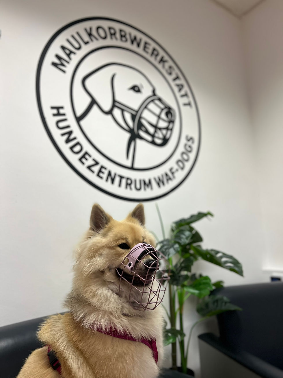 Mila !
