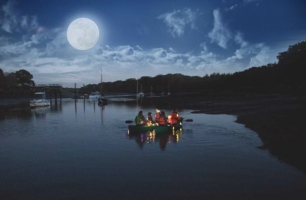 🎃 Spooky Halloween Fun with New Forest Activities – Plus a Special Discount Code!