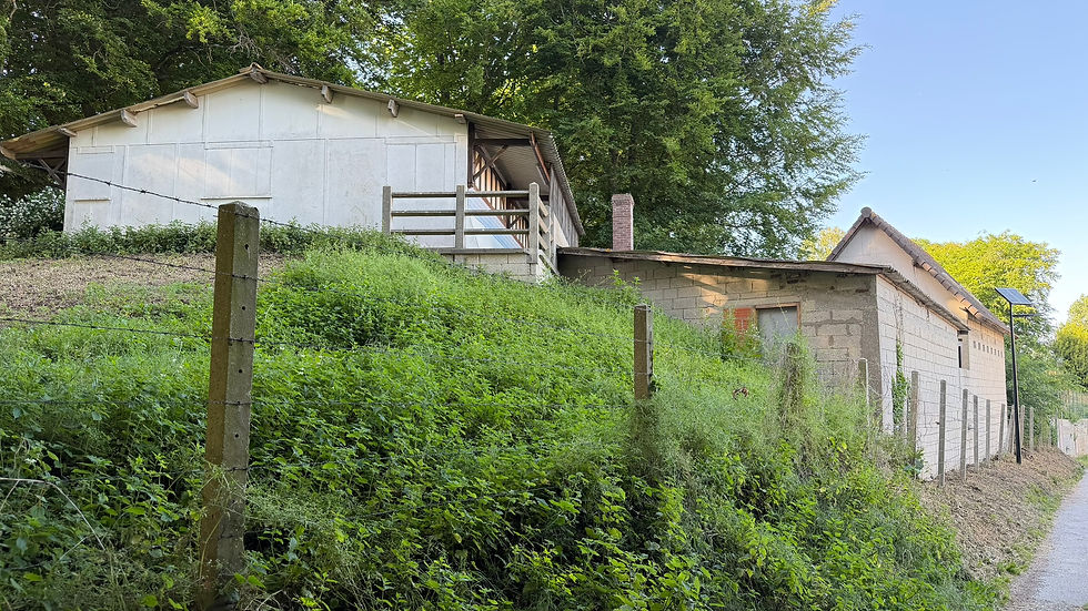 Buried R630 casemate at Tre07 Le Treport. Copyright NormandyBunkers