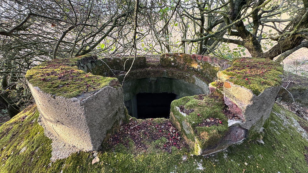 Adapted Tobruk near Turm 4 at Batterie Todt. Copyright NormandyBunkers