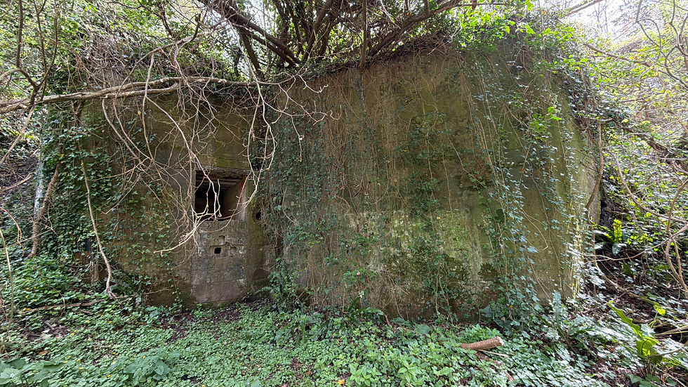 Vill027 Auberville shelter No.1 with Tobruk and tunnel entrance. Copyright NormandyBunkers