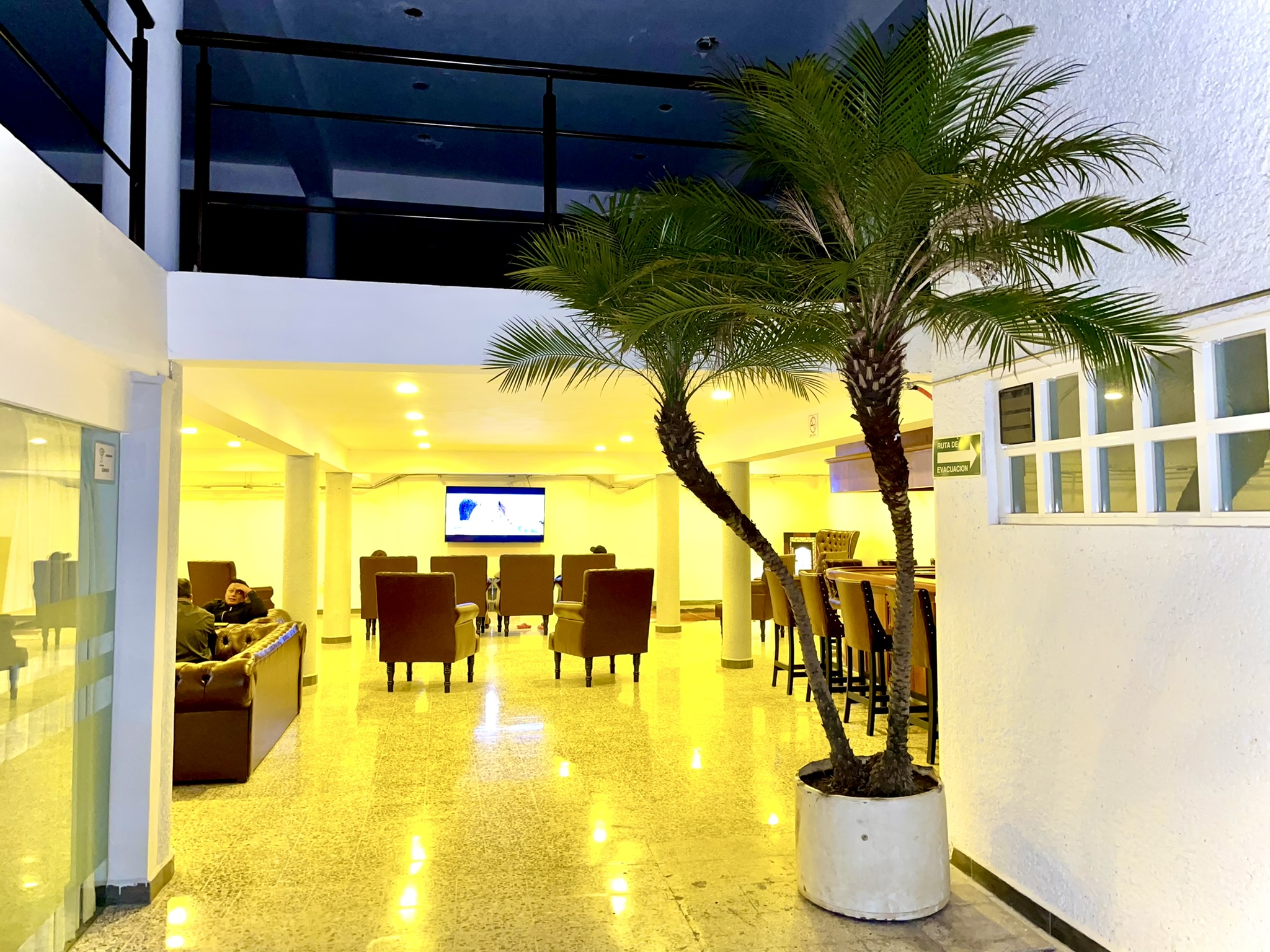 Bar y sala de estar