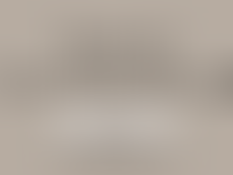 COTAS RACIAIS E A ETAPA DE HETEROIDENTIFICAÇÃO