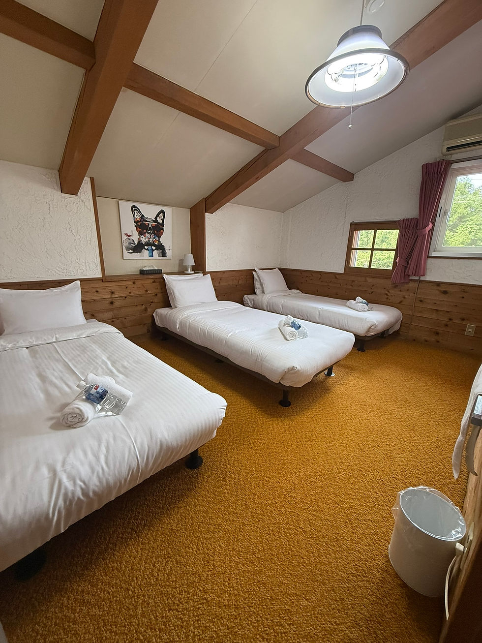 Triple Room.JPEG