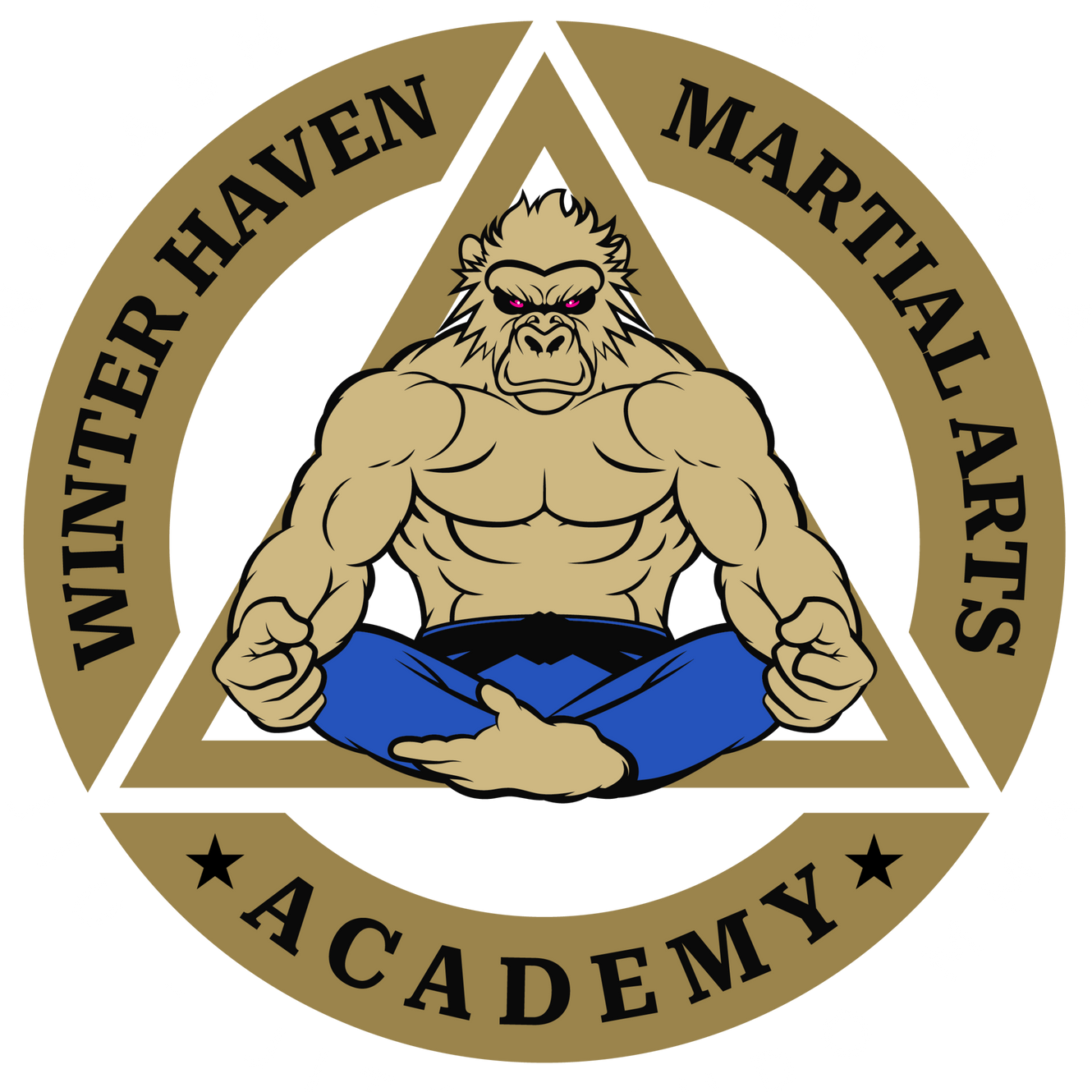 Winter Haven Martial Arts Academ