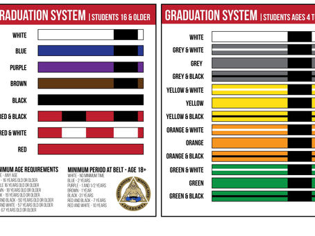 Understanding the Jiu-Jitsu Ranking System for Kids and Adults