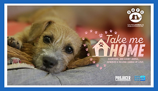Takemehome.pdf (297 × 173 mm).png