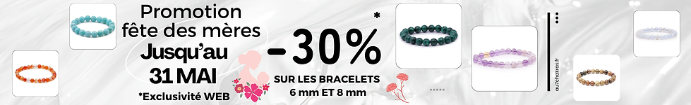 PROMO FETE DES MERES.png