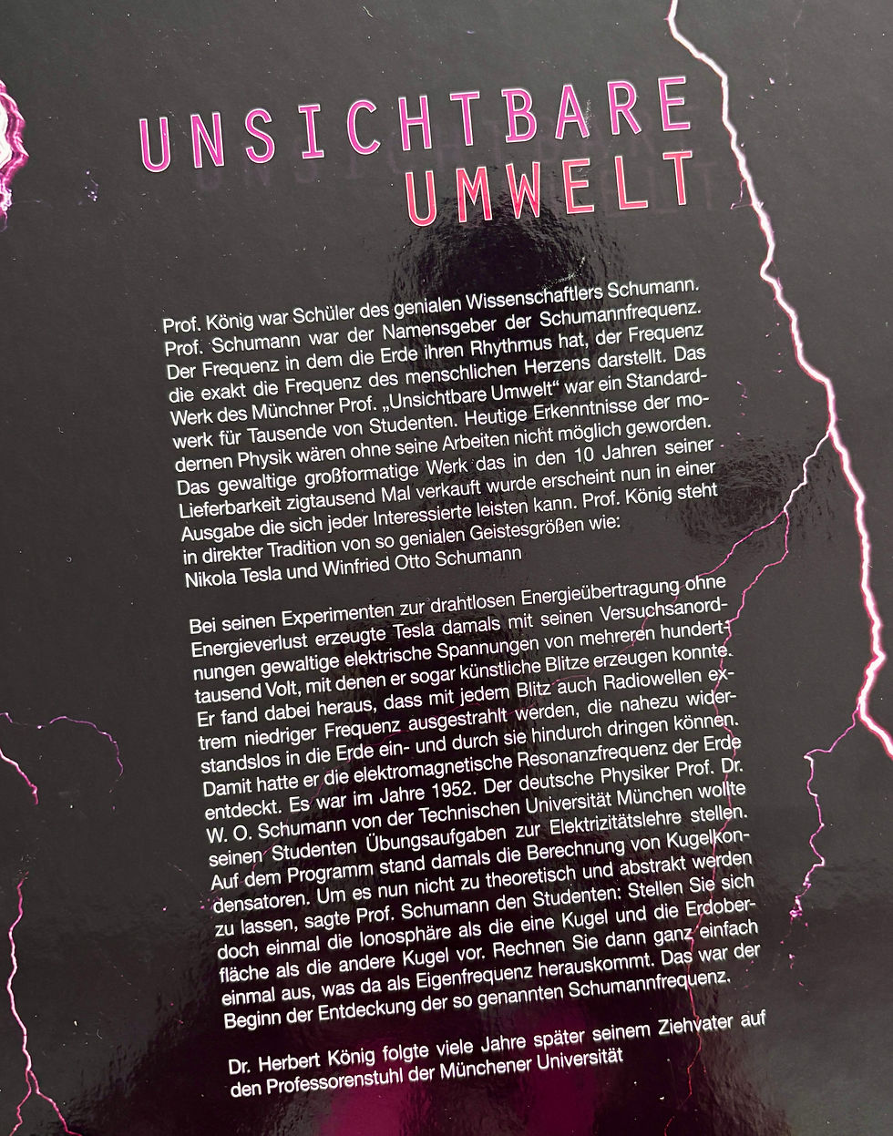 Unsichtbare Umwelt_Klappentext.JPG