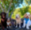 20260507_105336_edited.jpg