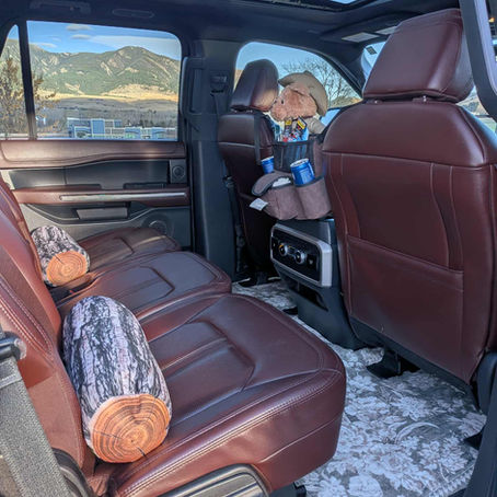 Is Yellowstone Possible Without a Car? (Yes—Here’s How)