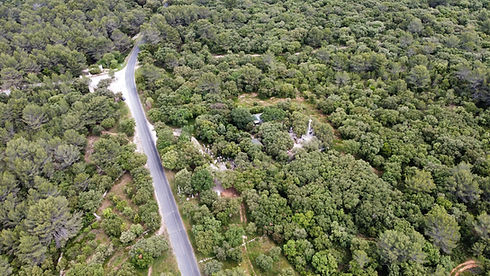 dji_fly_20240523_120624_704_1716458794965_photo_optimized.JPG