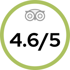 Tripadvisor.png