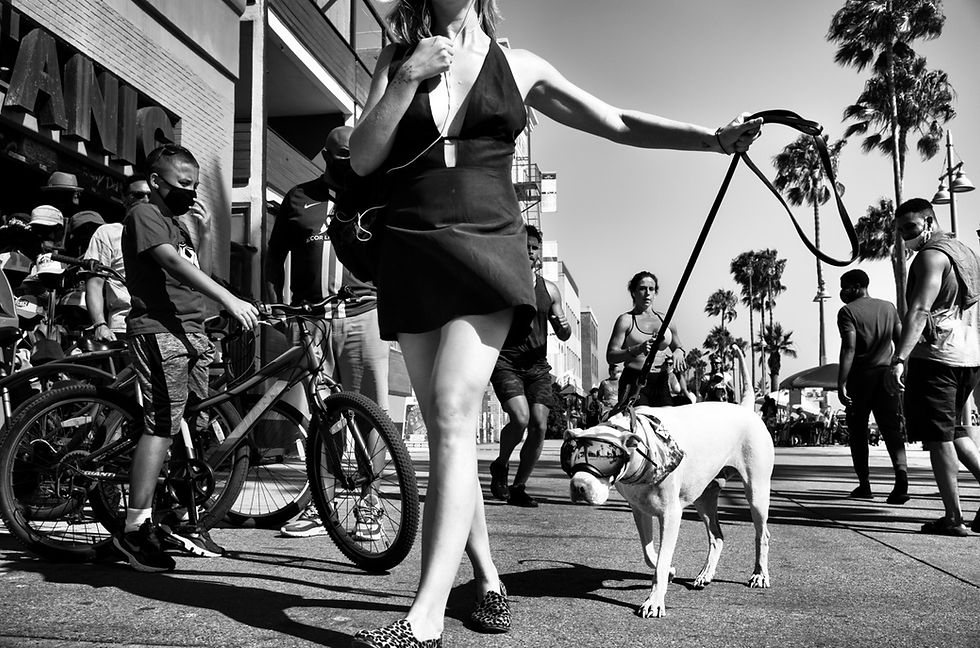 Thumbnail: DOGTOWN: The Pups of Venice Beach and their Humans. First Edition. Signed.