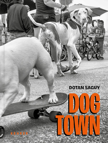 DOGTOWN: The Pups of Venice Beach and their Humans. First Edition