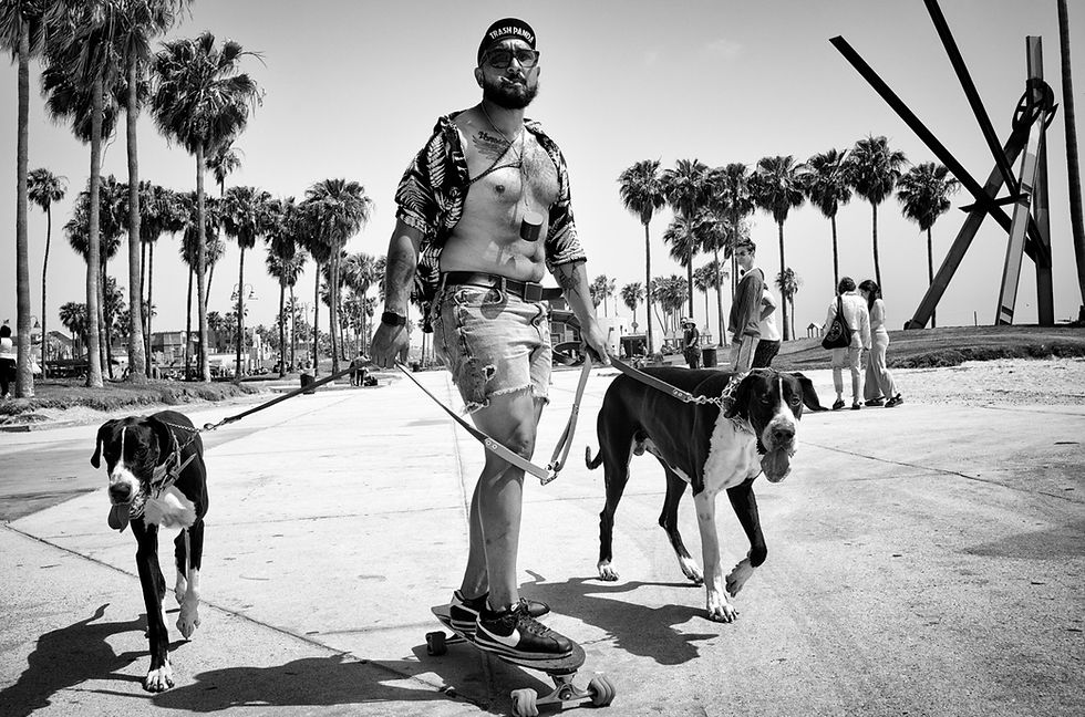 Thumbnail: DOGTOWN: The Pups of Venice Beach and their Humans. First Edition. Signed.