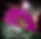 5e43f9_20fdaab5e8eb4430a771949bd6c41668~mv2.webp