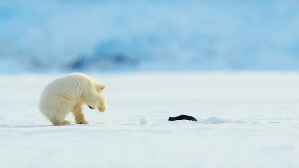 b2c8f14eb9f6b543f4a6e8d6cd6a7d0e.gif