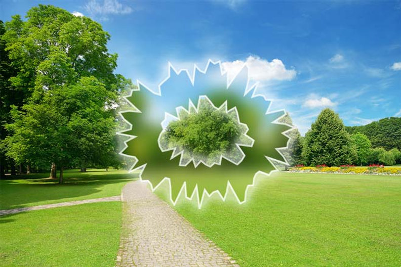 Migraine... oftalmologische migraine?