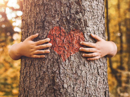 Nature to Nurture the Heart