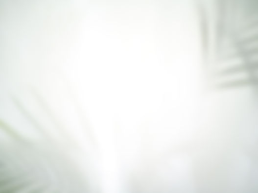as-folhas-sombreiam-tela-sombra-de-folha-no-papel-sobreposicao-de-tecido-sombra-e-luz.jpg
