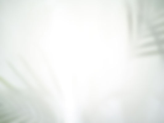 as-folhas-sombreiam-tela-sombra-de-folha-no-papel-sobreposicao-de-tecido-sombra-e-luz.jpg