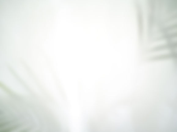 as-folhas-sombreiam-tela-sombra-de-folha-no-papel-sobreposicao-de-tecido-sombra-e-luz.jpg