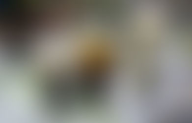 The New Bag Ban in Taiwan has Baffled Customers