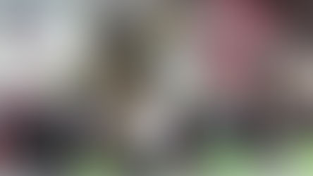 New Restaurants Have Opened At The Central Business District