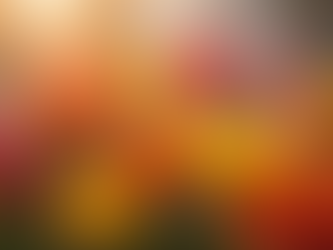 Marketing Digital au Féminin : Stratégies Éprouvées