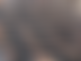 UMA VISÃO EQUILIBRADA SOBRE DESMILITARIZAÇÃO